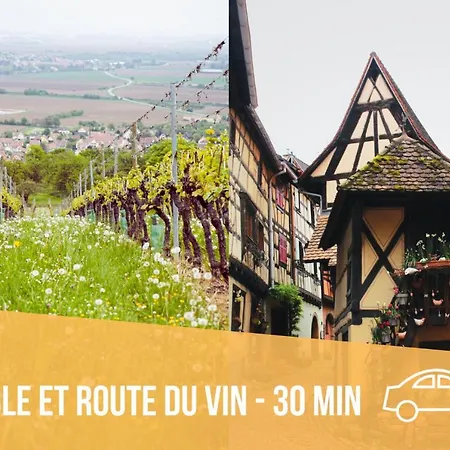 Bed & Breakfast Chez Philippe Et Sylvie - 2 Bungalows Pour 5 Proche Europa-Park Boofzheim