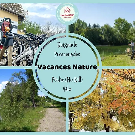 Chez Philippe Et Sylvie - 3 Pour 5 Proches Europa Park Отель типа 